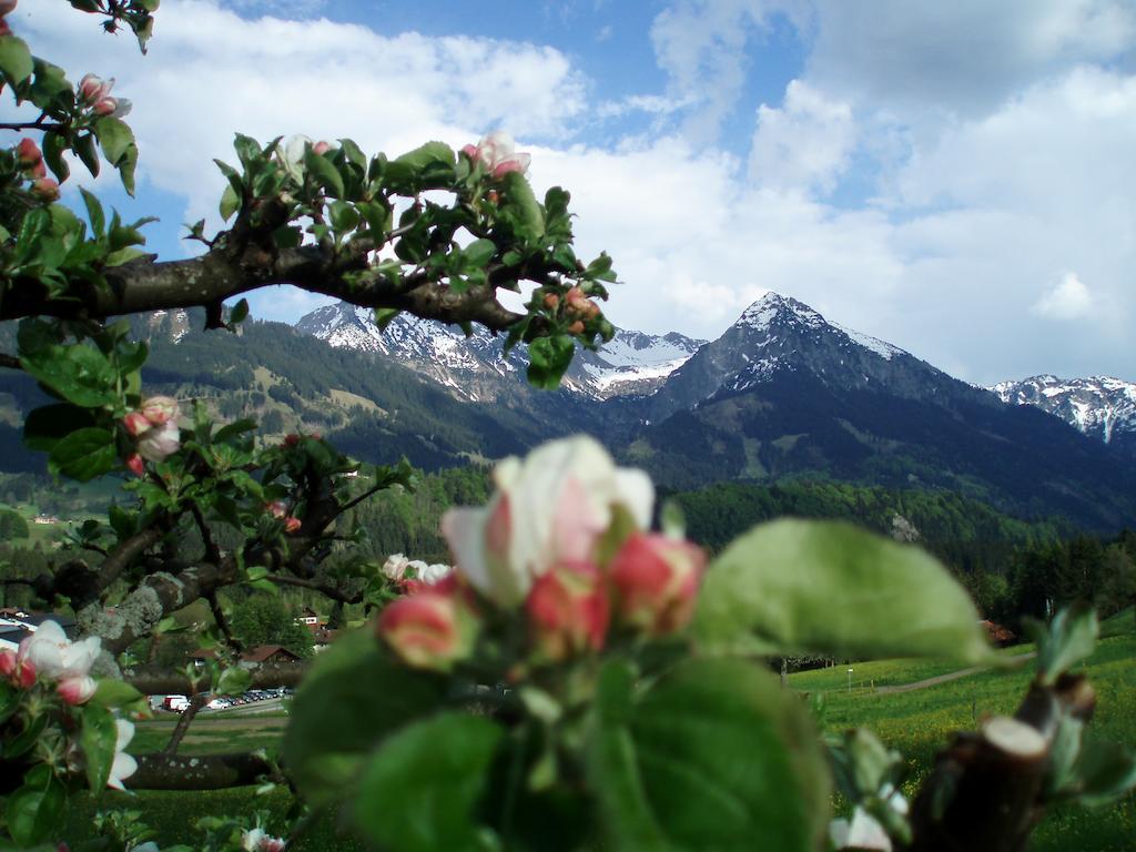 Hotel Alpenblick Fischen im Allgaeu Номер фото