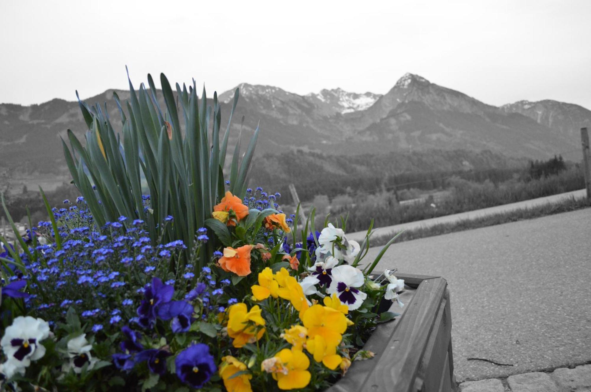 Hotel Alpenblick Fischen im Allgaeu Екстер'єр фото