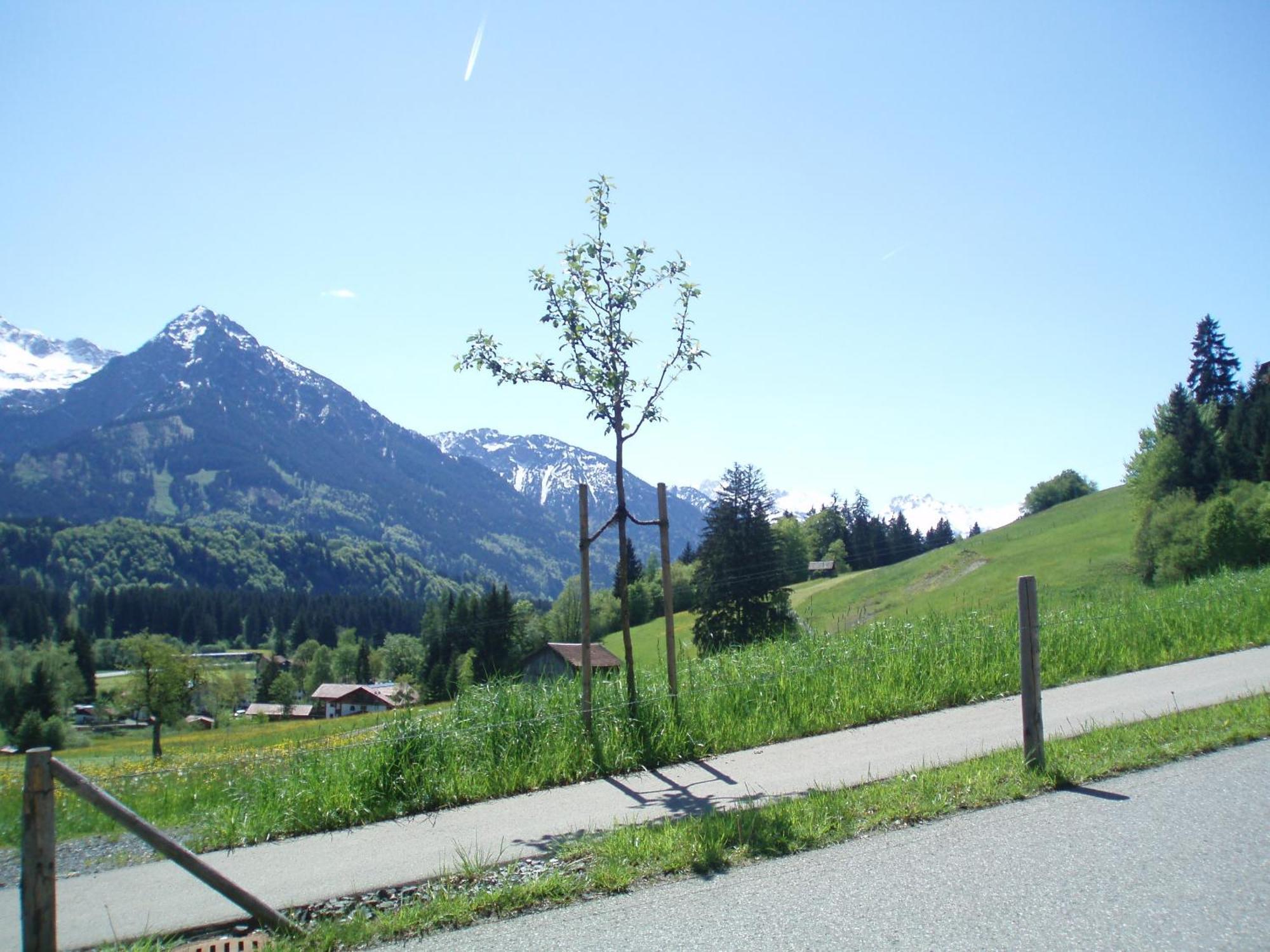 Hotel Alpenblick Fischen im Allgaeu Екстер'єр фото