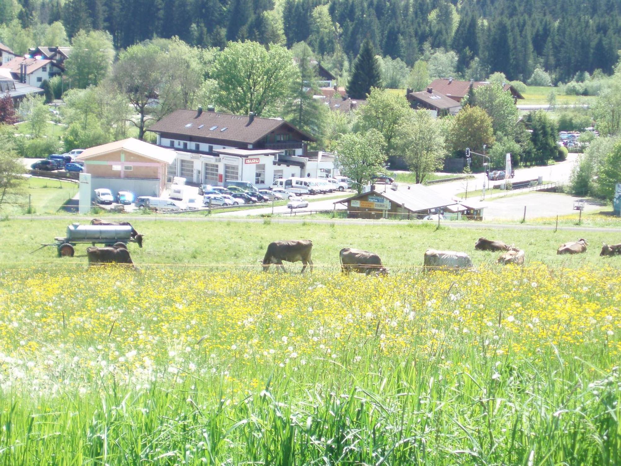 Hotel Alpenblick Fischen im Allgaeu Екстер'єр фото